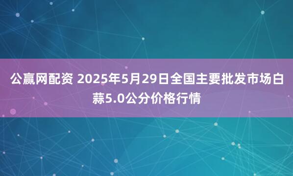 公赢网配资 2025年5月29日全国主要批发市场白蒜5.0公分价格行情