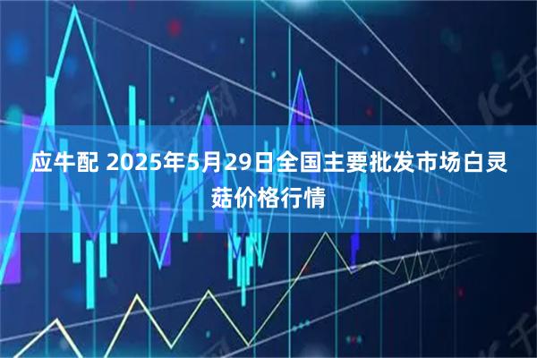 应牛配 2025年5月29日全国主要批发市场白灵菇价格行情