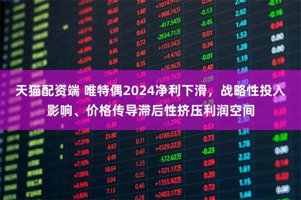 天猫配资端 唯特偶2024净利下滑,战略性投入影响、价格传导滞后性挤压利润空间
