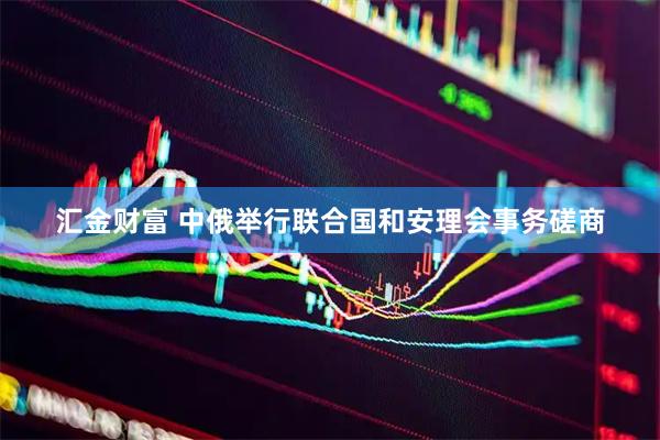 汇金财富 中俄举行联合国和安理会事务磋商